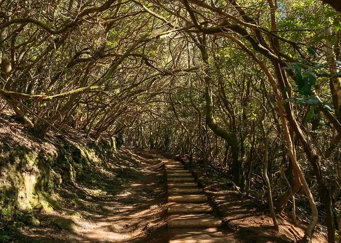 Mountain, Pool & Sea Punta del Hidalgo