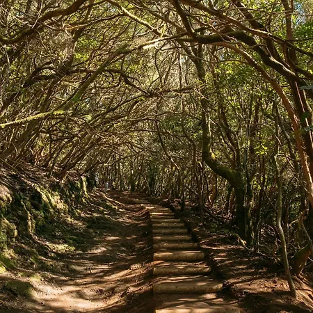 Mountain, Pool & Sea Punta Del Hidalgo